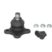 Delphi Support-/ joint