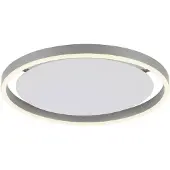 Paul Neuhaus Plafonnier LED, argent, intensité lumineuse variable, D 39,3 cm