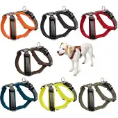 Hunter Vaisselle Maldon (Chien, Général, Promenade)
