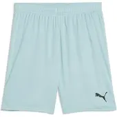Puma Hommes, Bas de sport, teamGOAL Shorts (3XL), Vert