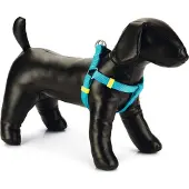 Beeztees BZ NYLON HARNAIS UNI HBL 46-7 (46, 47, 48, 49, 50, 52, 54, 56, 58, 60, 62, 68, Chien, Général)