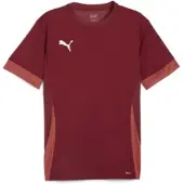 Puma T-Shirt fonctionnel rouge / blanc