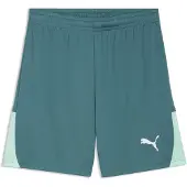 Puma Hommes, Bas de sport, teamLIGA26 Shorts (3XL), Vert