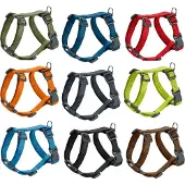 Hunter Harnais London Vario Rapid, Taille:M, Couleur:citron vert