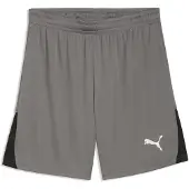 Puma Pantalon de sport 'TeamLIGA26' gris / noir / blanc