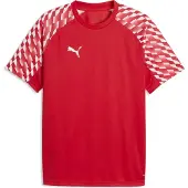 Puma T-shirt TeamLIGA26 65972101