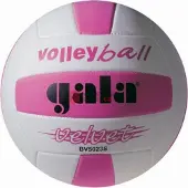 Gala Ballon de volley-ball VELVET 5023S