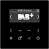 JUNG Radio intelligente DABLSSW DAB (DAB+ DAB, FM), Radio, Noir
