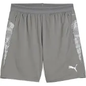 Puma Hommes, Bas de sport, teamCUP Short d'entraînement (S), Gris, Argent