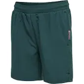Hummel Pantalon de sport 'Move' émeraude