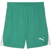 Puma Hommes, Bas de sport, teamLIGA26 Shorts (M), Vert