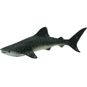 Collecta Requin-baleine - (XL)