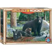 Eurographics Puzzle Nouvelles Découvertes par Kevin Daniel, 1000 pièces, 68 x 48 cm, 6000-0793