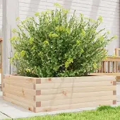 Prolenta Maison Exclusive - Bac à plantes 70x70x23 cm en pin massif