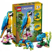 LEGO 31136 - Creator - Perroquet exotique