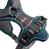 Hunter Harnais Divo Bleu marine/gris - XS