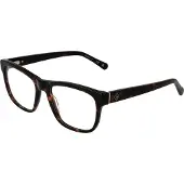 Gant Lunettes GA3283 052 53 Hommes Marron