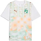 Puma Ivory Coast Homme - Jerseys/Réplicas, Blanc - Taille S - Poly Jersey