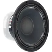 Visaton PAW 25 haut-parleur 10 pouces, 8 ohms