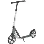 Hudora 14153 BigWheel 205 ADV, ash