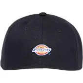 Dickies Hardwick Two Tone Cap Noir