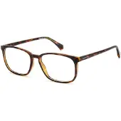 Polaroid Lunettes de Vue PLD D488 56/17/145 Havana Polyamide frames MAN PLD D488