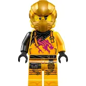 LEGO Ninjago : Arin