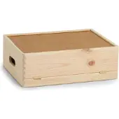 Zeller Present Boîte polyvalente (30 cm, 17 l, 1x)