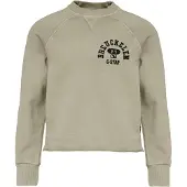 G-Star D29657-01 Sweatshirt Gris 16 Years Garçon