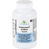 SYNOMED Enterobact-protect, capsules, boîte de 120 capsules