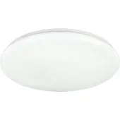 REALITY IMPORT Plafonnier Cetus blanc avec fonction RGB