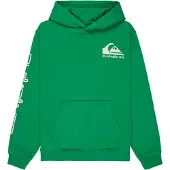 Quiksilver Omni Logo Hoodie Vert 8 Years Garçon