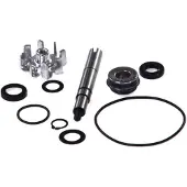 Vicma Fs-147-wp Water Pump Rebuild Kit Argenté