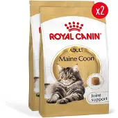 Royal Canin Maine Coon Adult - 2 x 4 kg