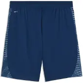 Puma Individualfinal Shorts Bleu XL Homme