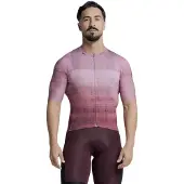 Etxeondo Alai Short Sleeve Jersey Violet XL Homme