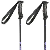Gabel R Carbon Junior Poles Noir 100 cm Garçon
