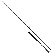 Colmic Naxos Spinning Rod Argenté 2.03 m / 300 g