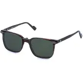 Sting Ust590-53geqp 53x18x145 Mm Reading Glasses Marron Homme