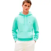 Tommy Hilfiger Essential Terry Hoodie Vert L Homme