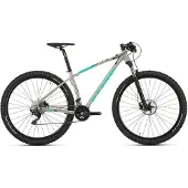Sants Sm 29´´ Comp M6100 Sgs Mtb Bike Argenté L