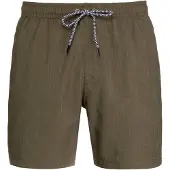 Protest Davey Swimming Shorts Vert L Homme