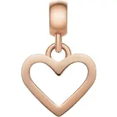 Daniel Wellington Cur en acier plaqué or Charms DW00400428