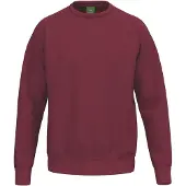 Erima Sweatshirt TS