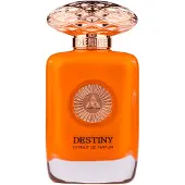 Auraa Desire Destiny 100ml Perfume for Unisex by