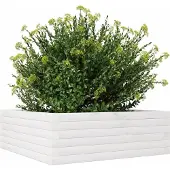 vidaXL Jardinière blanc 70x70x23 cm bois de pin massif