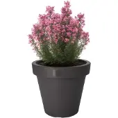 Ecken & Kanten Bac à plantes Pot de fleurs Ø25cm hauteur 22cm anthracite (25 x 22 cm)