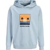 Jack & Jones Sweat à Capuche Perry