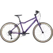 ACADEMY 24"