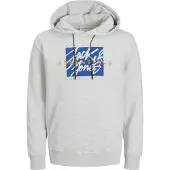 Jack & Jones Colton Hoodie Gris L Homme
